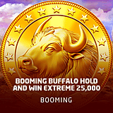 Booming Buffalo Hold and Win Extreme 25,000