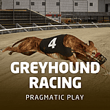 Greyhound Racing