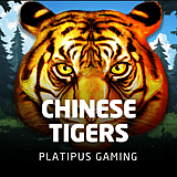 Chinese Tigers