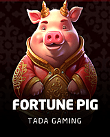 Fortune Pig