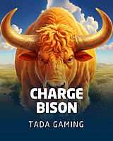 Charge Bison